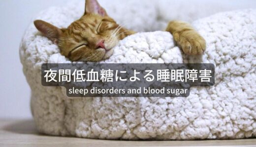睡眠障害を引き起こす夜間低血糖